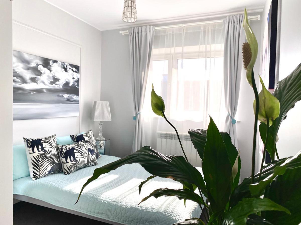 Dream Boutique Apartment 42M2 In The Heart Of Cracow Old Town Kraków Zewnętrze zdjęcie